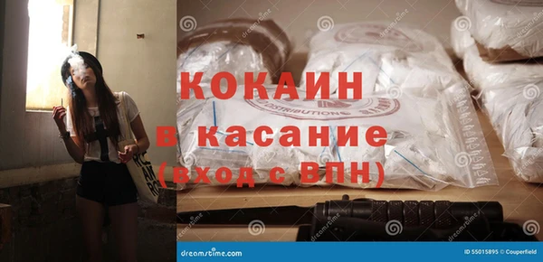 ПСИЛОЦИБИНОВЫЕ ГРИБЫ Гусь-Хрустальный