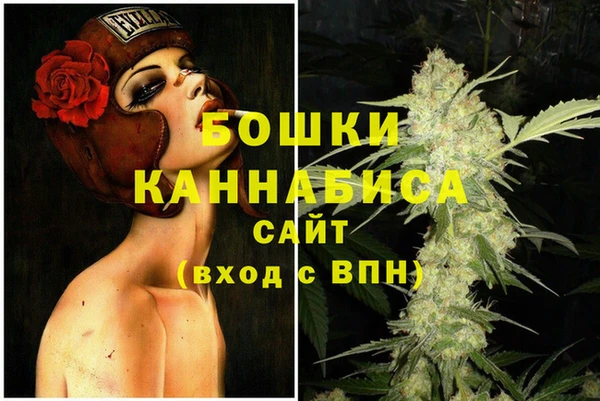 ПСИЛОЦИБИНОВЫЕ ГРИБЫ Гусь-Хрустальный