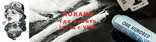 ПСИЛОЦИБИНОВЫЕ ГРИБЫ Гусь-Хрустальный