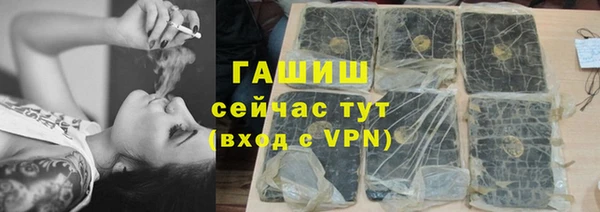 apvp Гусев