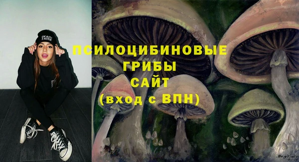 apvp Гусев