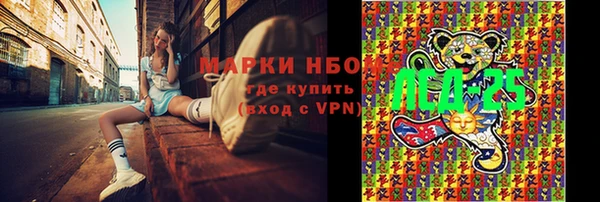 ПСИЛОЦИБИНОВЫЕ ГРИБЫ Гусь-Хрустальный