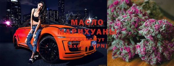 apvp Гусев
