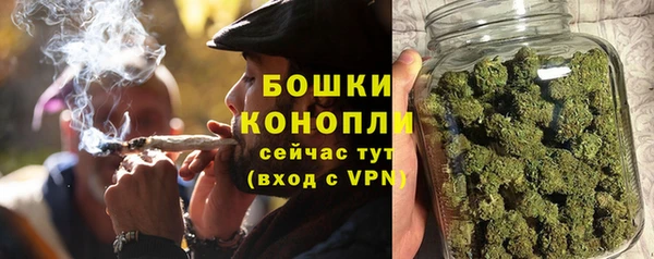 мяу мяу мука Гусиноозёрск