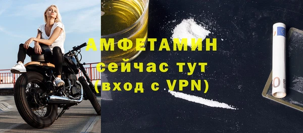 ПСИЛОЦИБИНОВЫЕ ГРИБЫ Гусь-Хрустальный