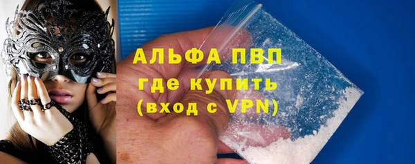 apvp Гусев