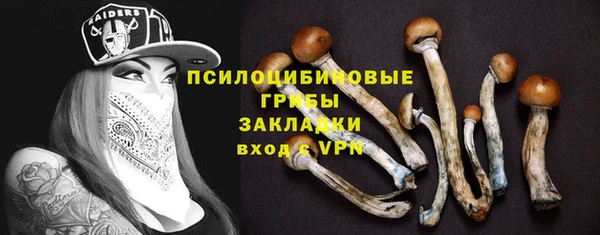 apvp Гусев