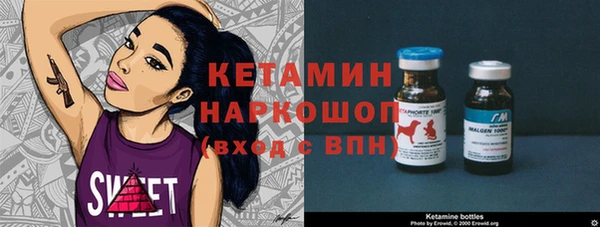 apvp Гусев