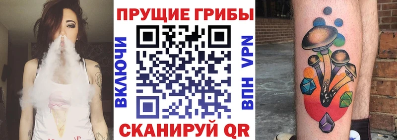 Псилоцибиновые грибы Magic Shrooms  Купить закладки  Кизляр 